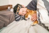 SNSで話題の“クセつよ”柴犬を大特集の画像