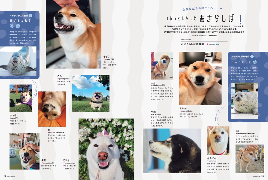 SNSで話題の“クセつよ”柴犬を大特集の画像