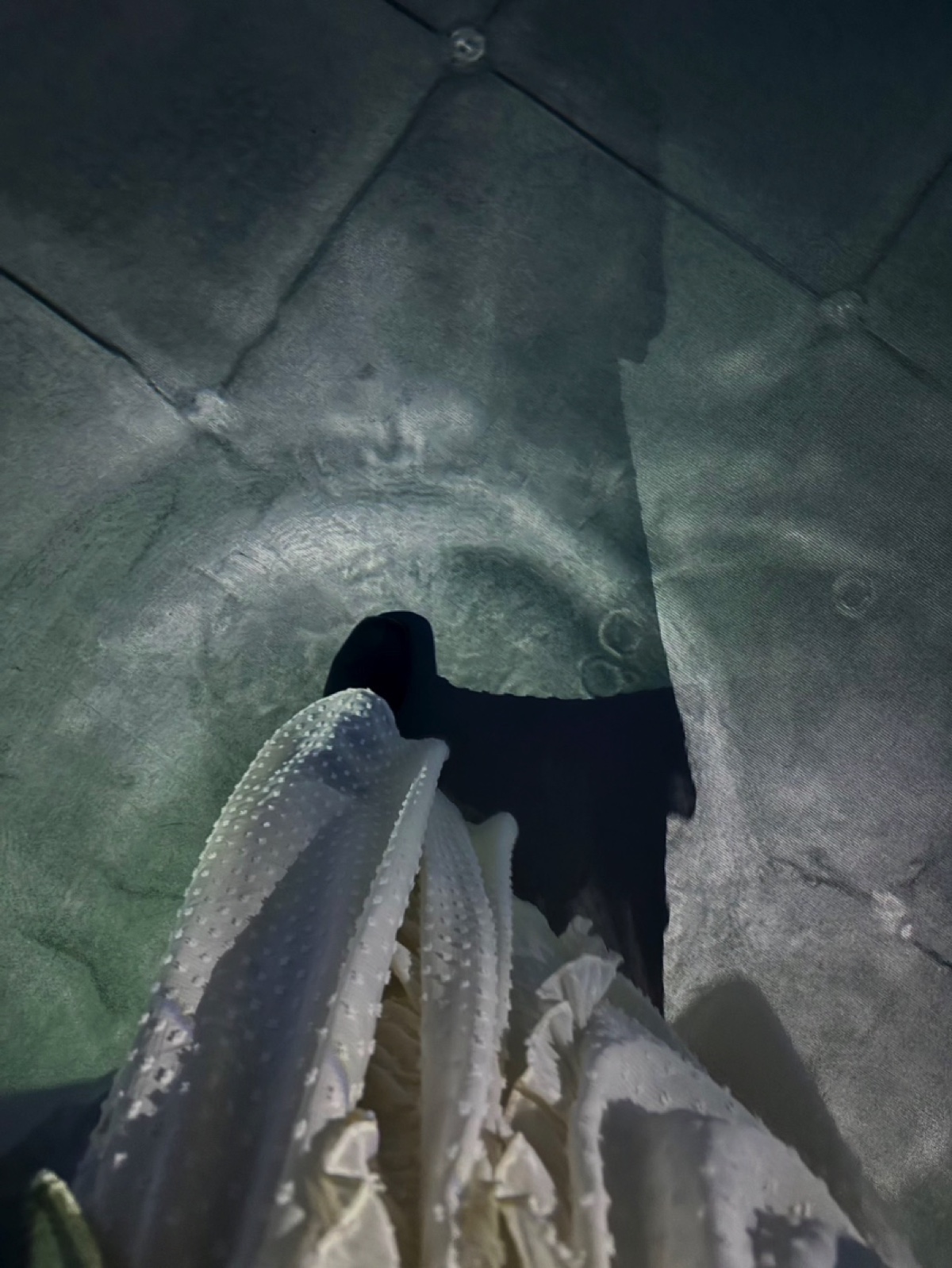 十束おとはの「Sony Park 展 2025」レポートの画像