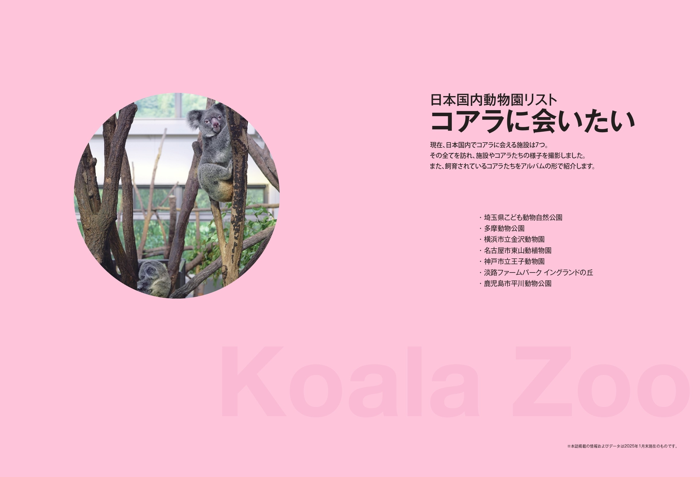 『コアラのひみつ』が発売の画像