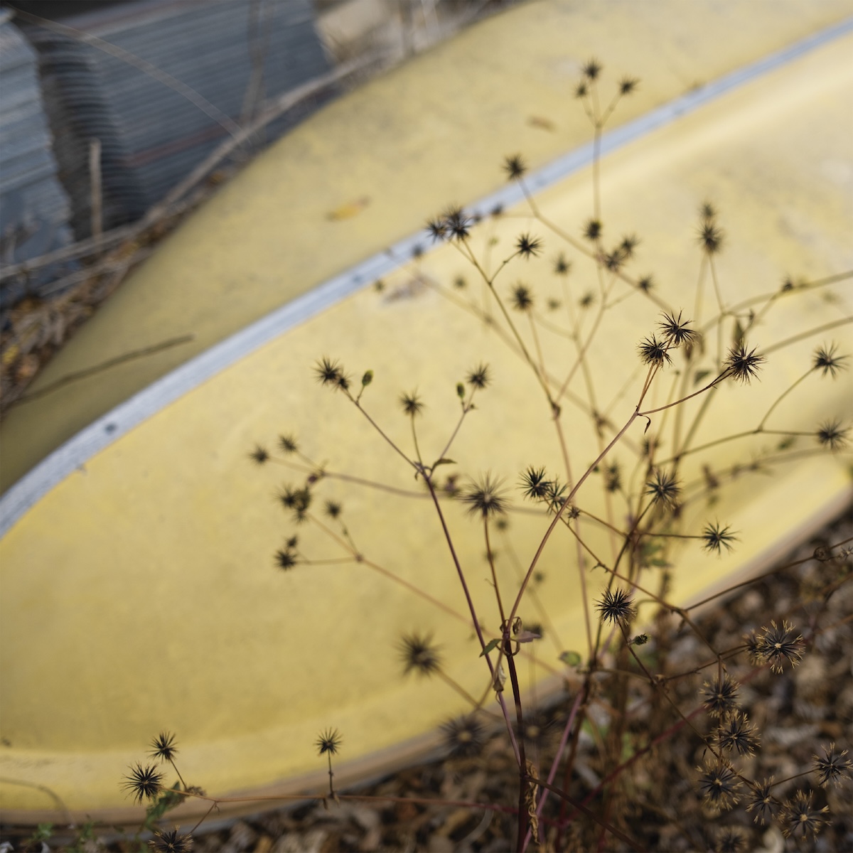 スカート「トゥー・ドゥリフターズ」