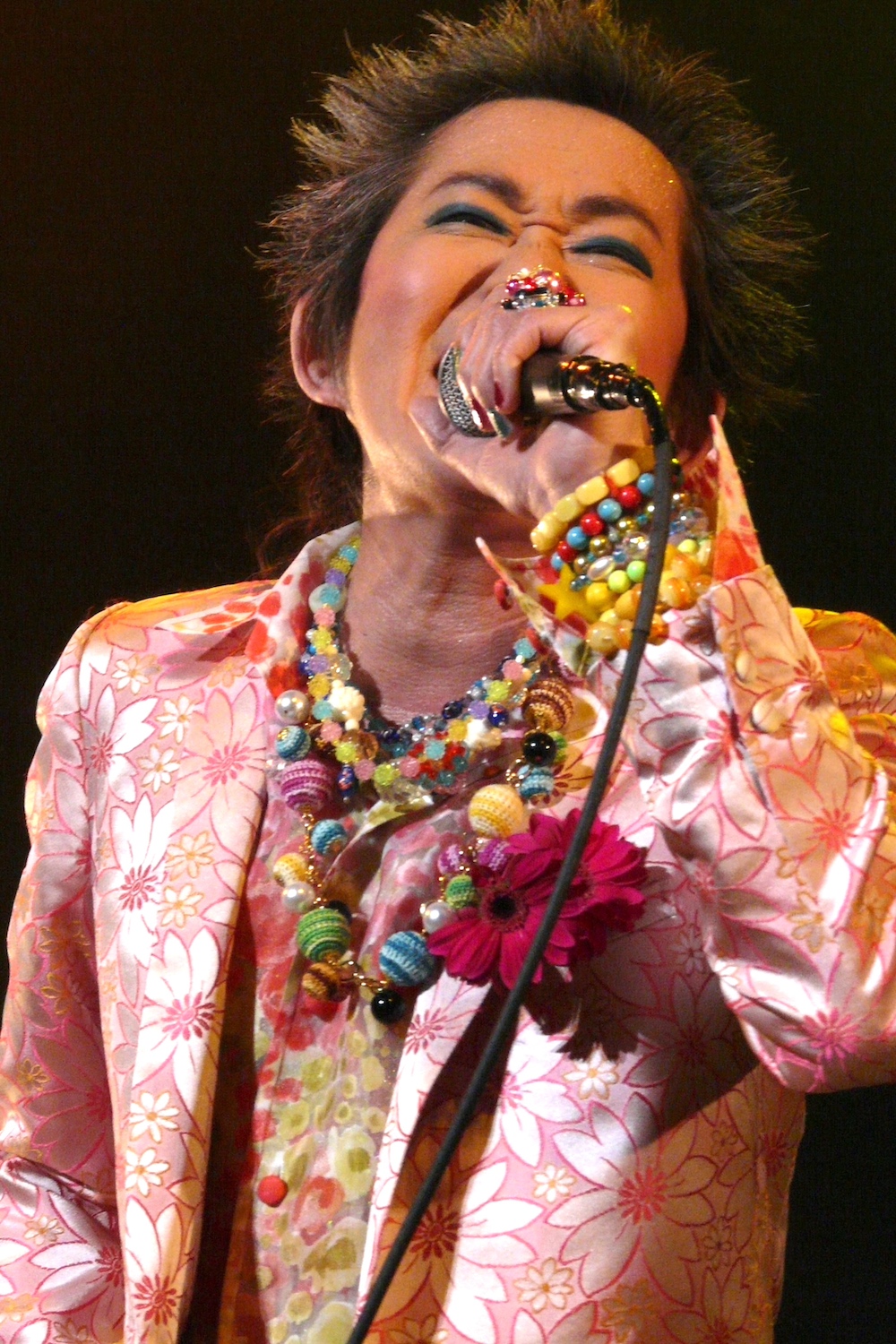 『LAST LIVE at 京都会館 2008』