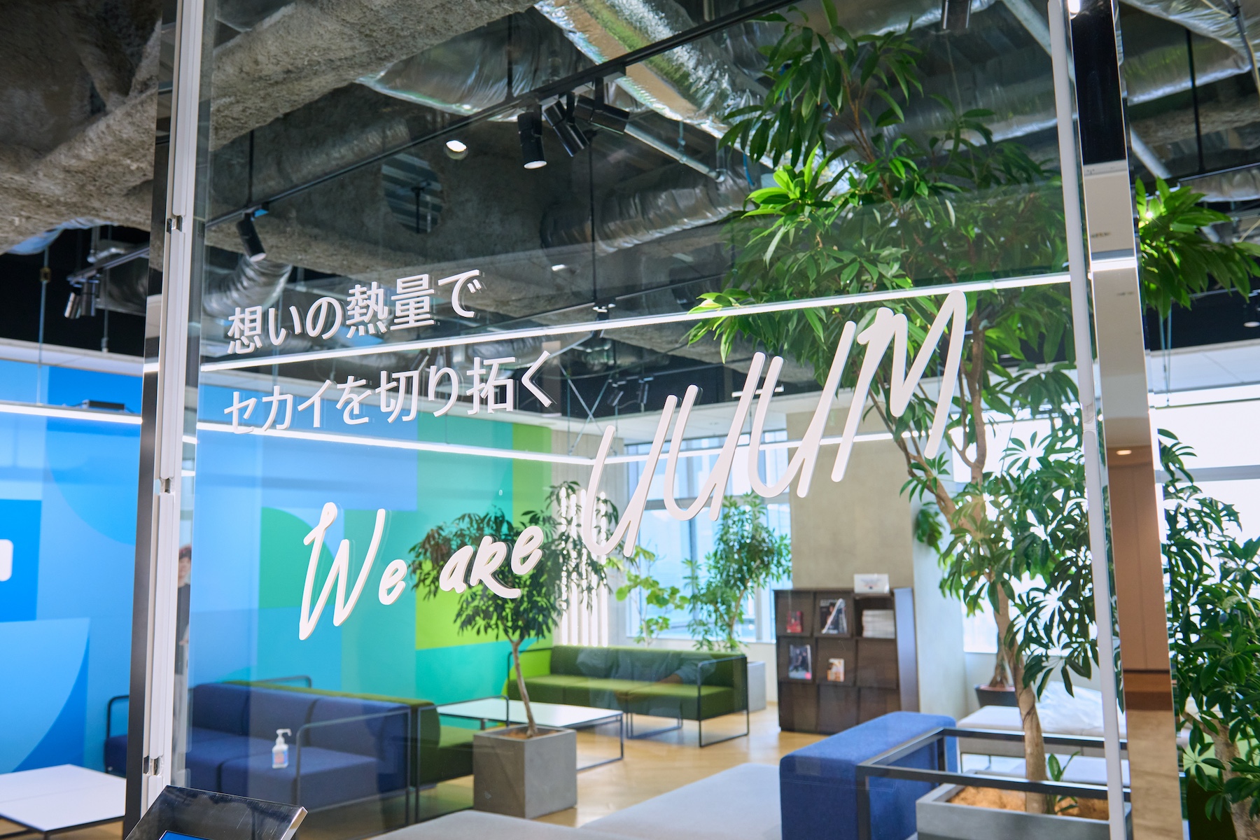 “UUUMの新卒採用”の現在地の画像