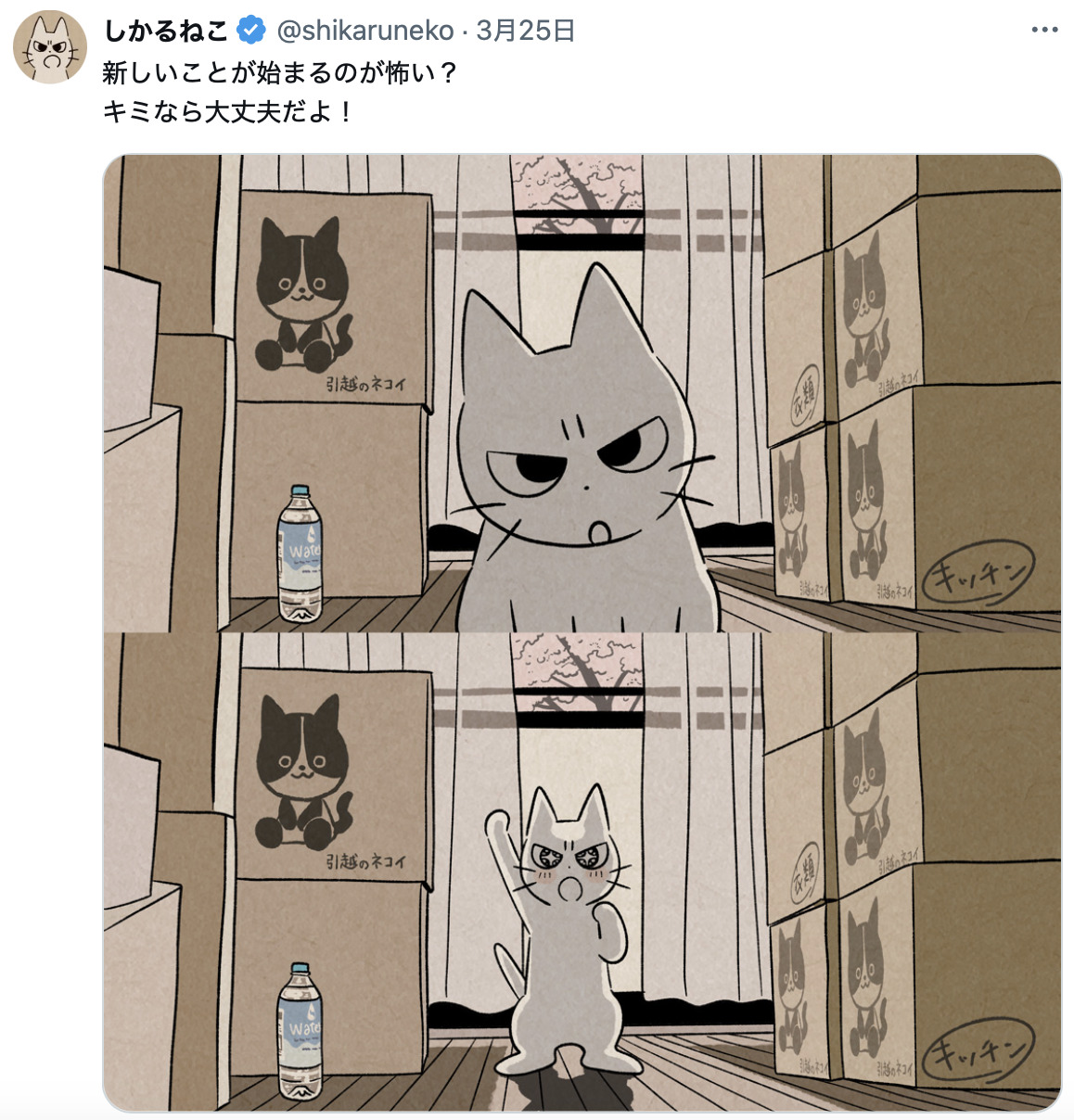 『しかるねこ』不安な新生活を猫たちが応援
