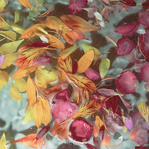 なきごと ジャケ写