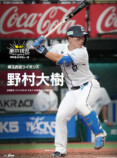 10年間の東京高校野球を振り返るの画像