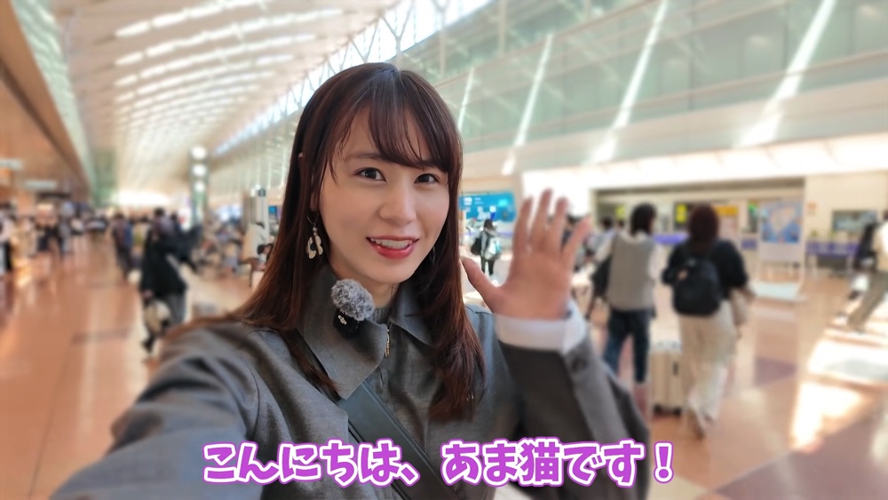 あま猫、離島で“リフレッシュ旅”を満喫の画像