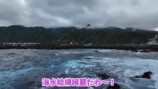 あま猫、離島で“リフレッシュ旅”を満喫の画像