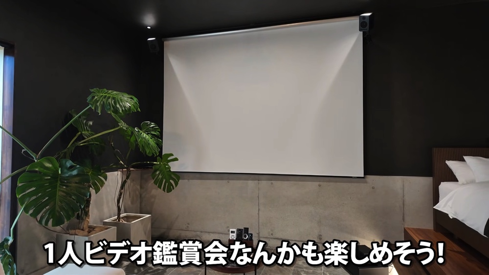 あま猫、離島で“リフレッシュ旅”を満喫の画像