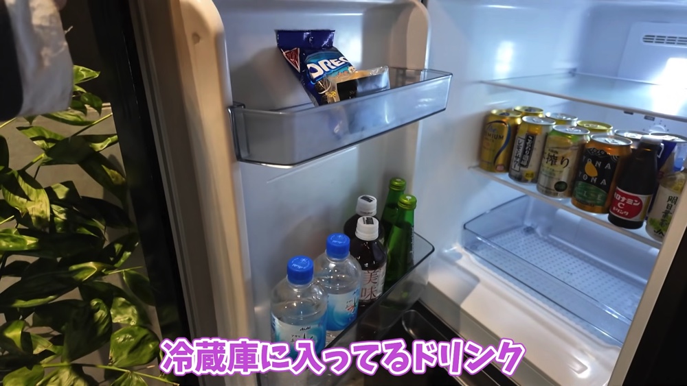 あま猫、離島で“リフレッシュ旅”を満喫の画像