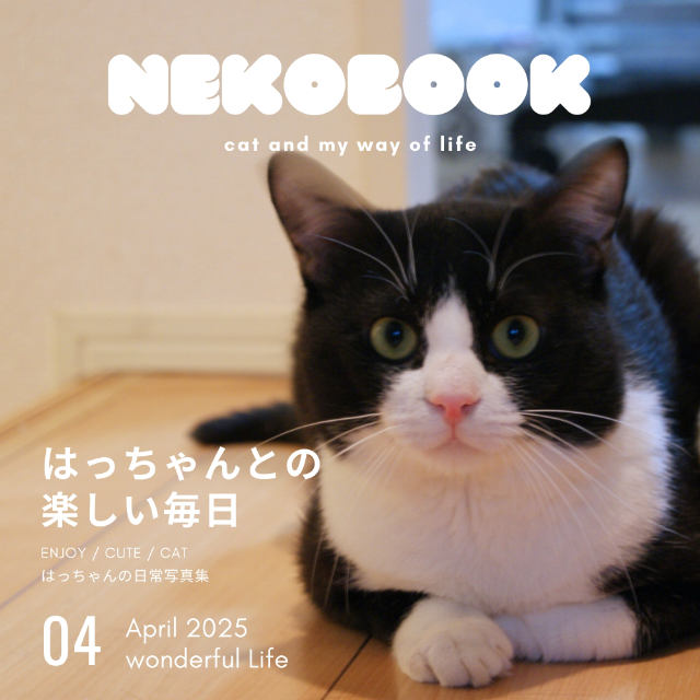 うちのこ写真集『ハチワレ猫 はっちゃん写真集』