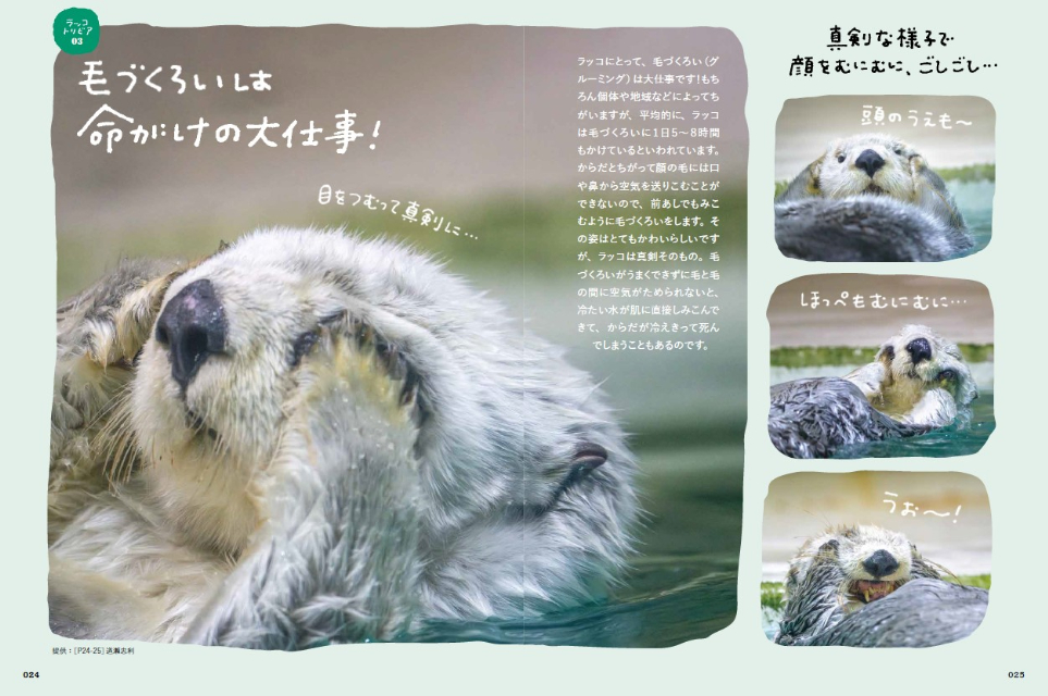 『ラッコ沼への招待状』3万部突破の画像