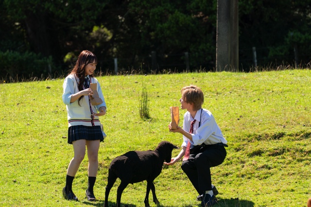『今日好き ニュージーランド編』1話の画像