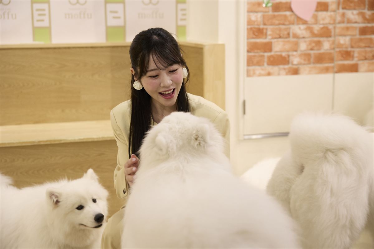 『あそばにゃそんそん』より　ロケ場面写真