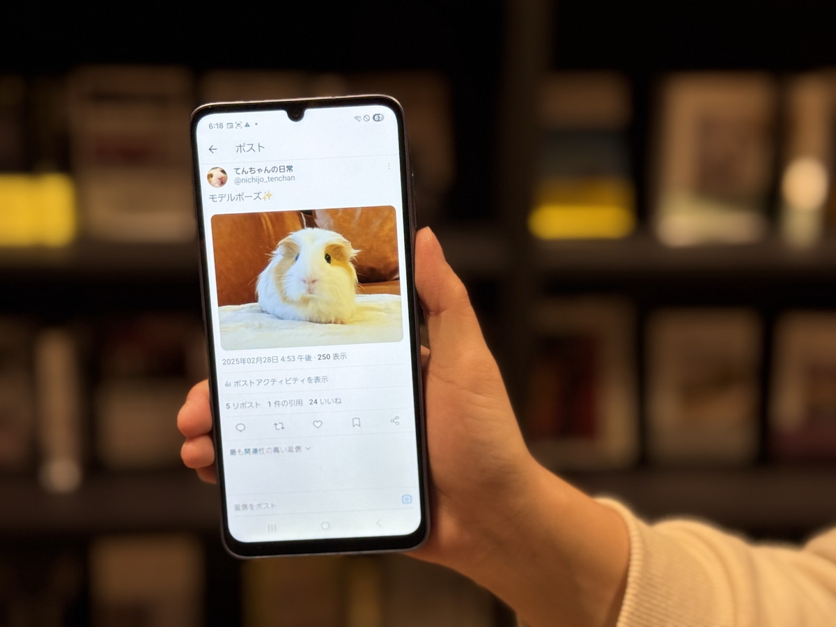 『Galaxy A25 5G』のマクロカメラに大興奮