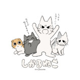 「しかるねこ」POP UP、新宿で開催決定の画像