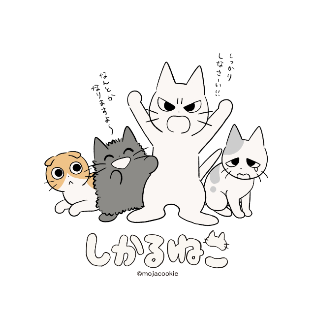 「しかるねこ」POP UP、新宿で開催決定の画像