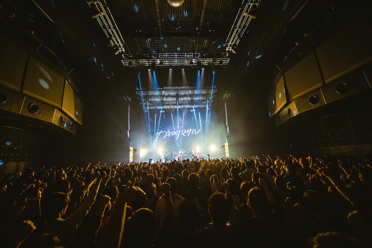 カネヨリマサル(撮影=郡元菜摘)