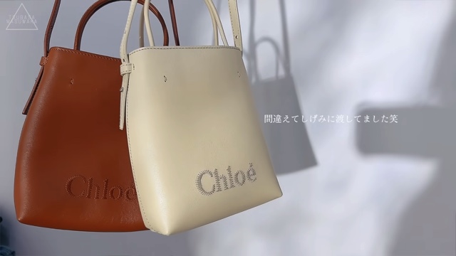 益若つばさ、高級ブランド爆買いの画像