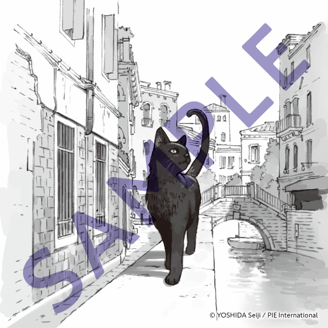 異国情緒あふれる写真集『世界のドア』の画像