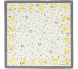 「ポケモン」のハンカチ・雑貨シリーズ登場の画像