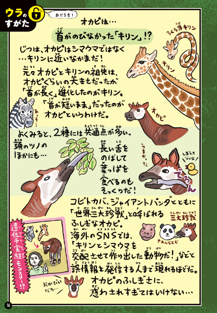 『ぬまがさワタリのゆかいないきもの㊙図鑑DX』の画像