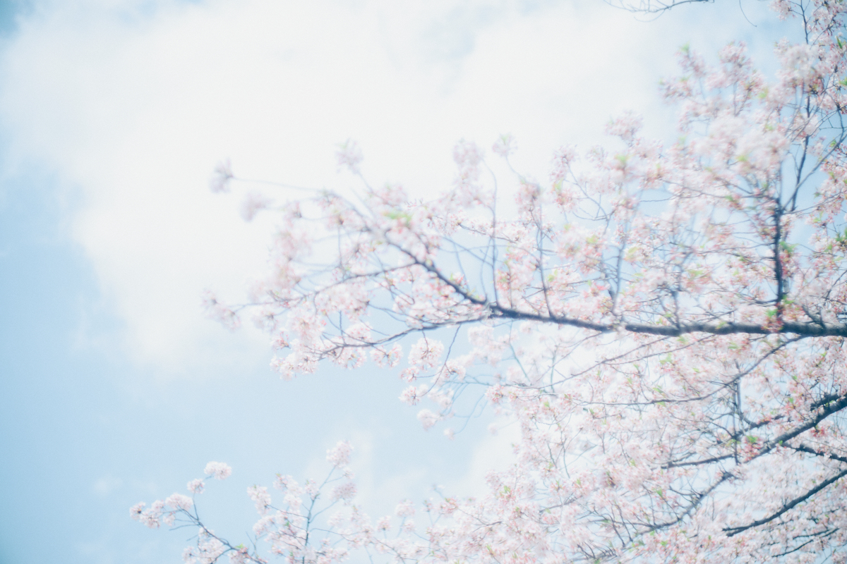 透色ドロップ、新メンバーインタビューの画像