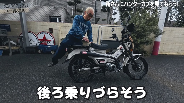 所ジョージ、“実用的”カブに持論を展開の画像