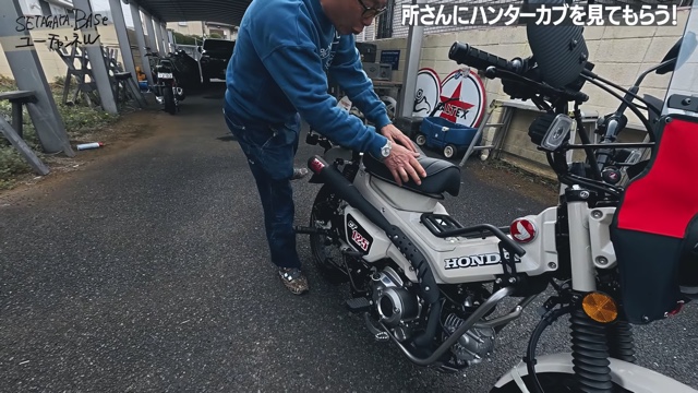 所ジョージ、“実用的”カブに持論を展開の画像