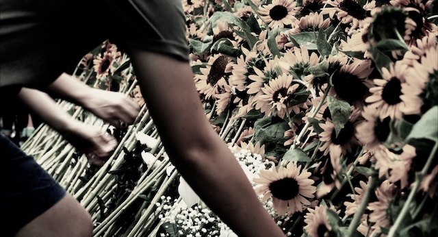 『灰となっても』