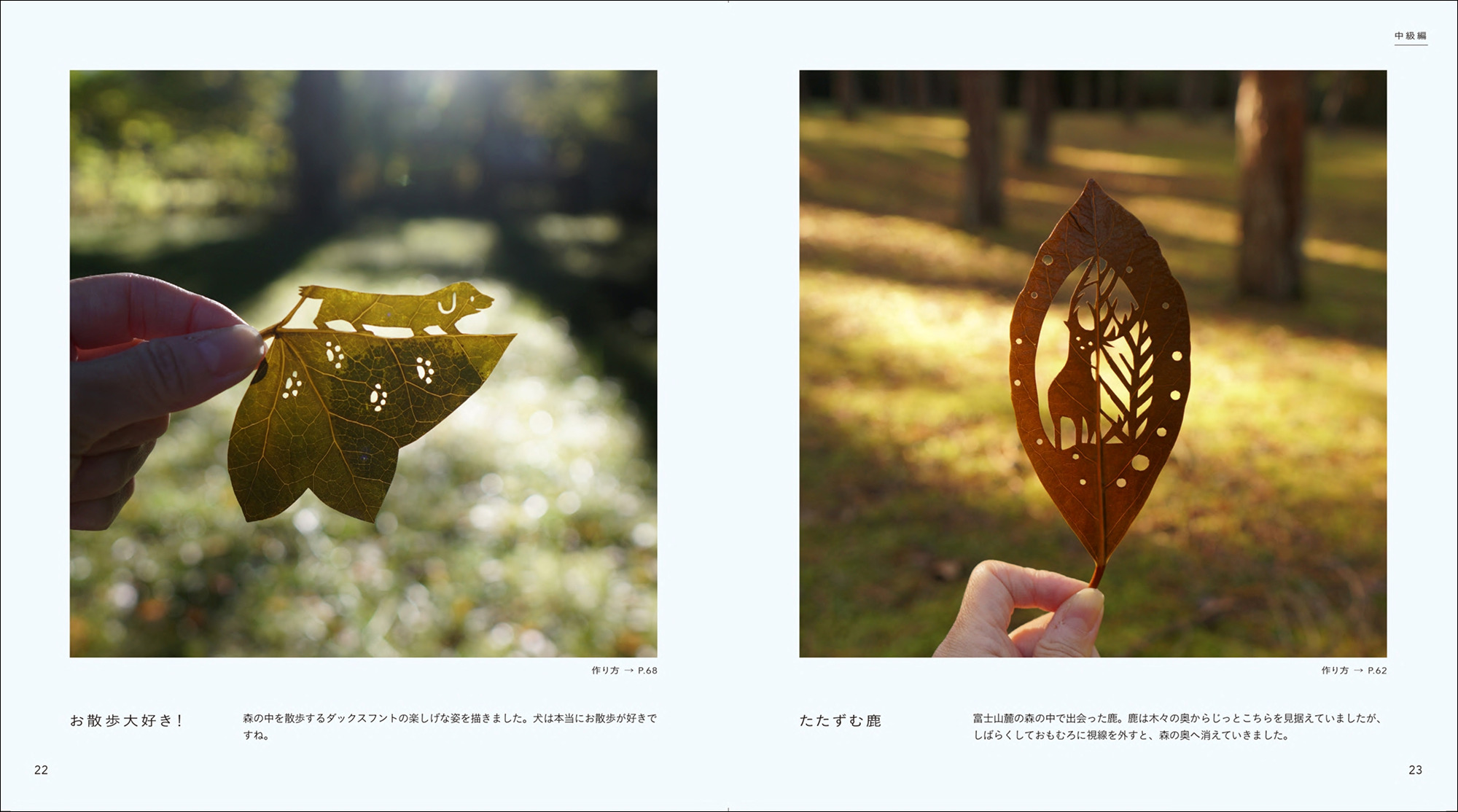 小さな葉っぱのクラフトブックに注目の画像