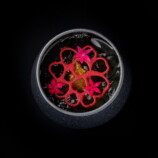 『刀剣乱舞ONLINE』コラボコースを提供決定の画像