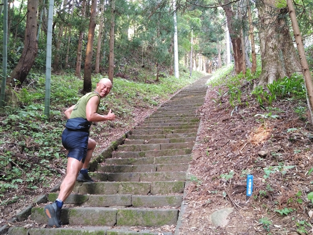 『FUJI & SUN '25』田中陽希