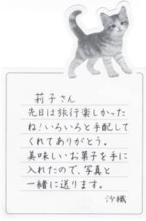 『万年筆インク6色セットつき 万年筆のある毎日』の画像