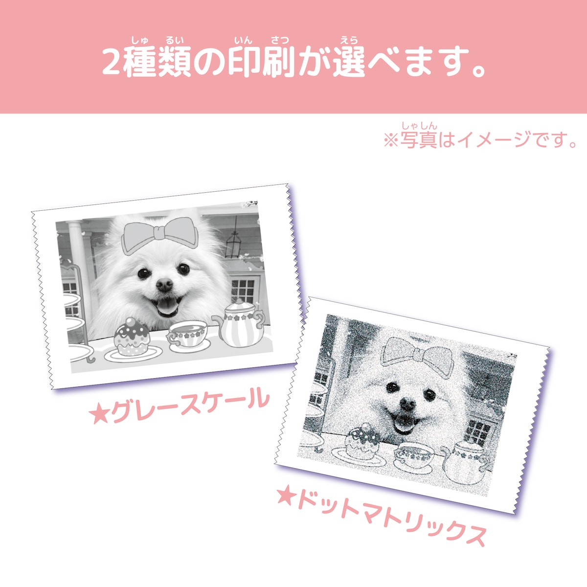 ポータブルカメラ『プリカ』に“夏色”が登場の画像