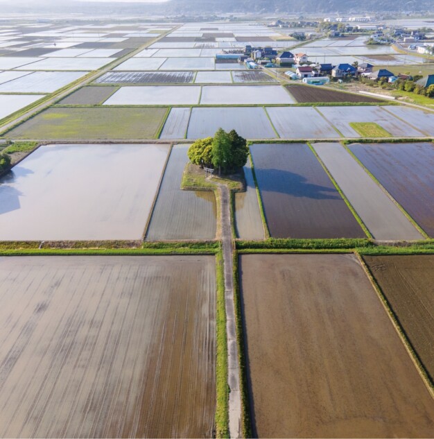 田んぼのまん中にポツンと神社がある理由