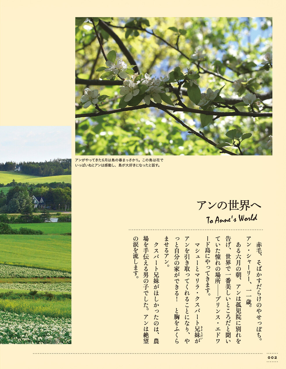 世界中で愛されるアン・シャーリーの魅力とは？の画像