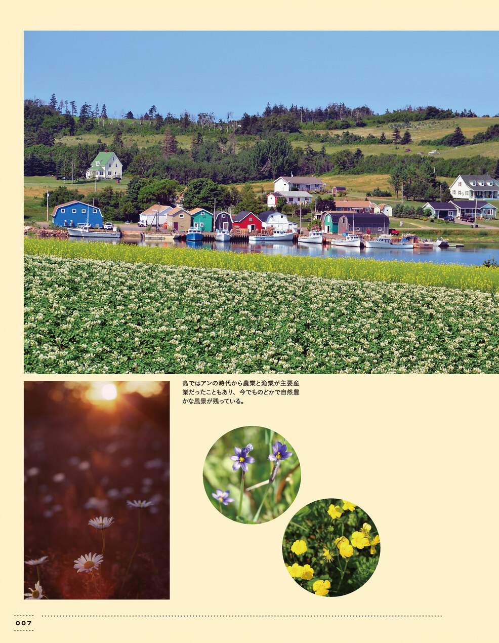 世界中で愛されるアン・シャーリーの魅力とは？の画像