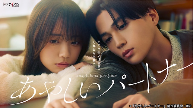 『あやしいパートナー』