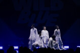 WILD BLUEに秘められた未知なる可能性の画像
