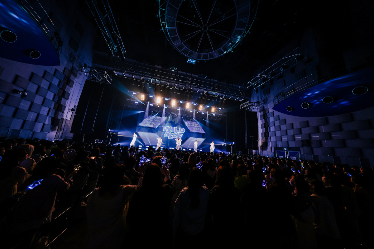 WILD BLUEに秘められた未知なる可能性の画像