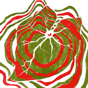 『Raspberry Moon』