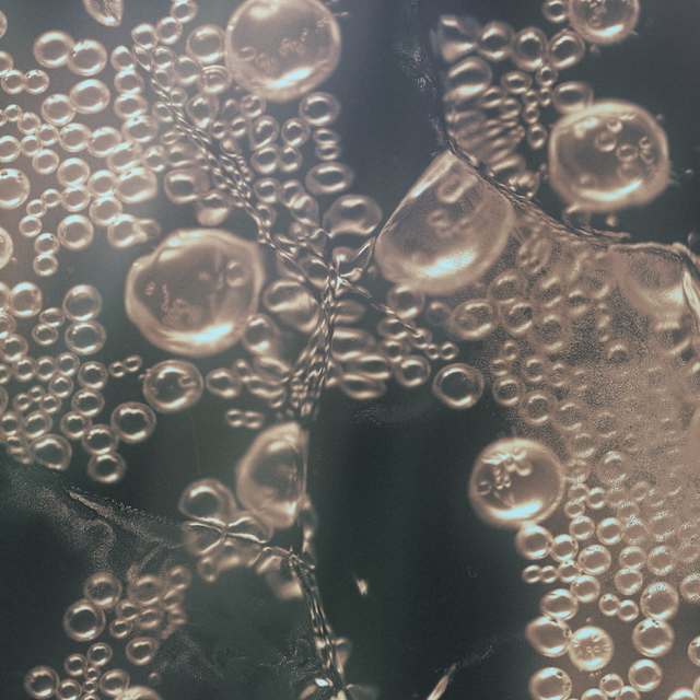 marucoporoporo『Conceive the Sea』