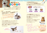 『ねこがつくった理不尽なぞなぞ』が面白いの画像