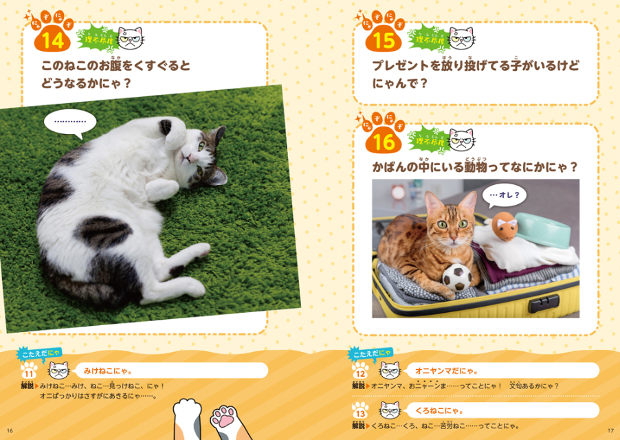『ねこがつくった理不尽なぞなぞ』が面白いの画像