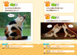 『ねこがつくった理不尽なぞなぞ』が面白いの画像