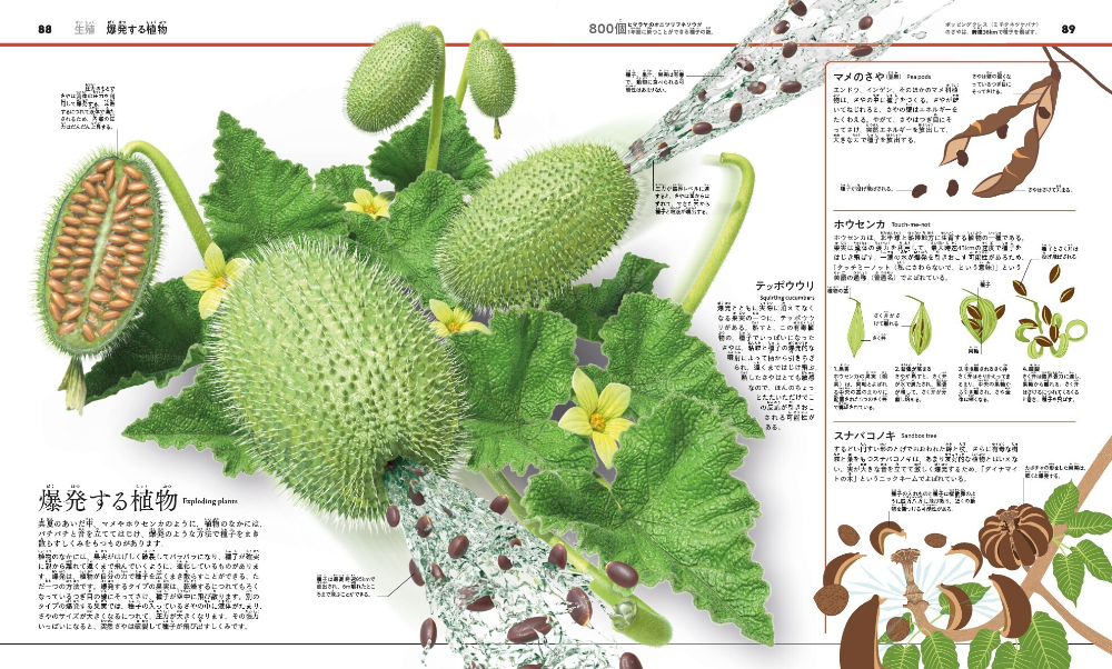 『植物と菌類のサイエンス大図鑑』の画像