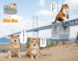 「愛犬とたのしむ那須ハイランドパーク」の画像