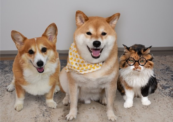 「愛犬とたのしむ那須ハイランドパーク」の画像