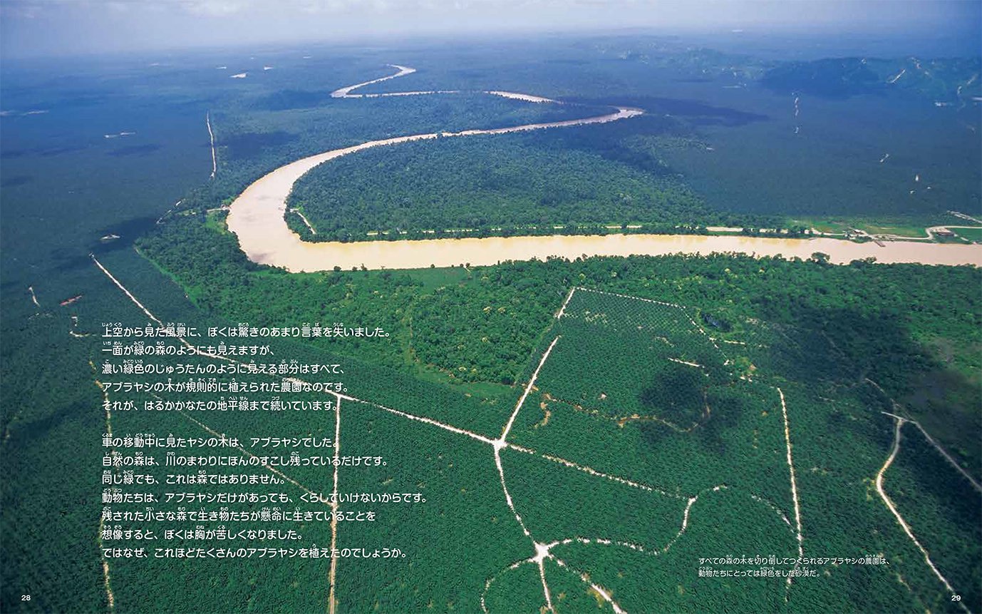 オランウータン「キュー」の写真絵本が発売の画像